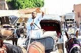 87-Edfu,29 luglio 2009